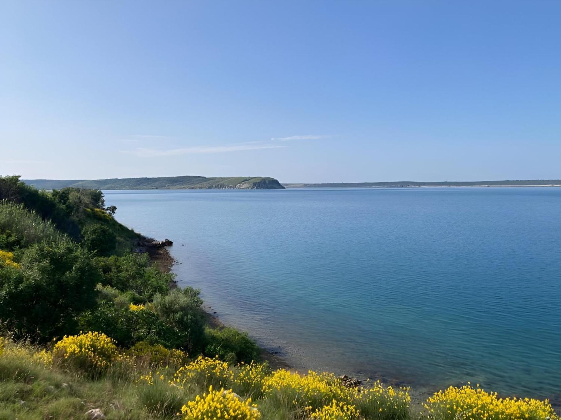 Nicolas - & Sea 10m Away - Amazing Sea View! Apartment